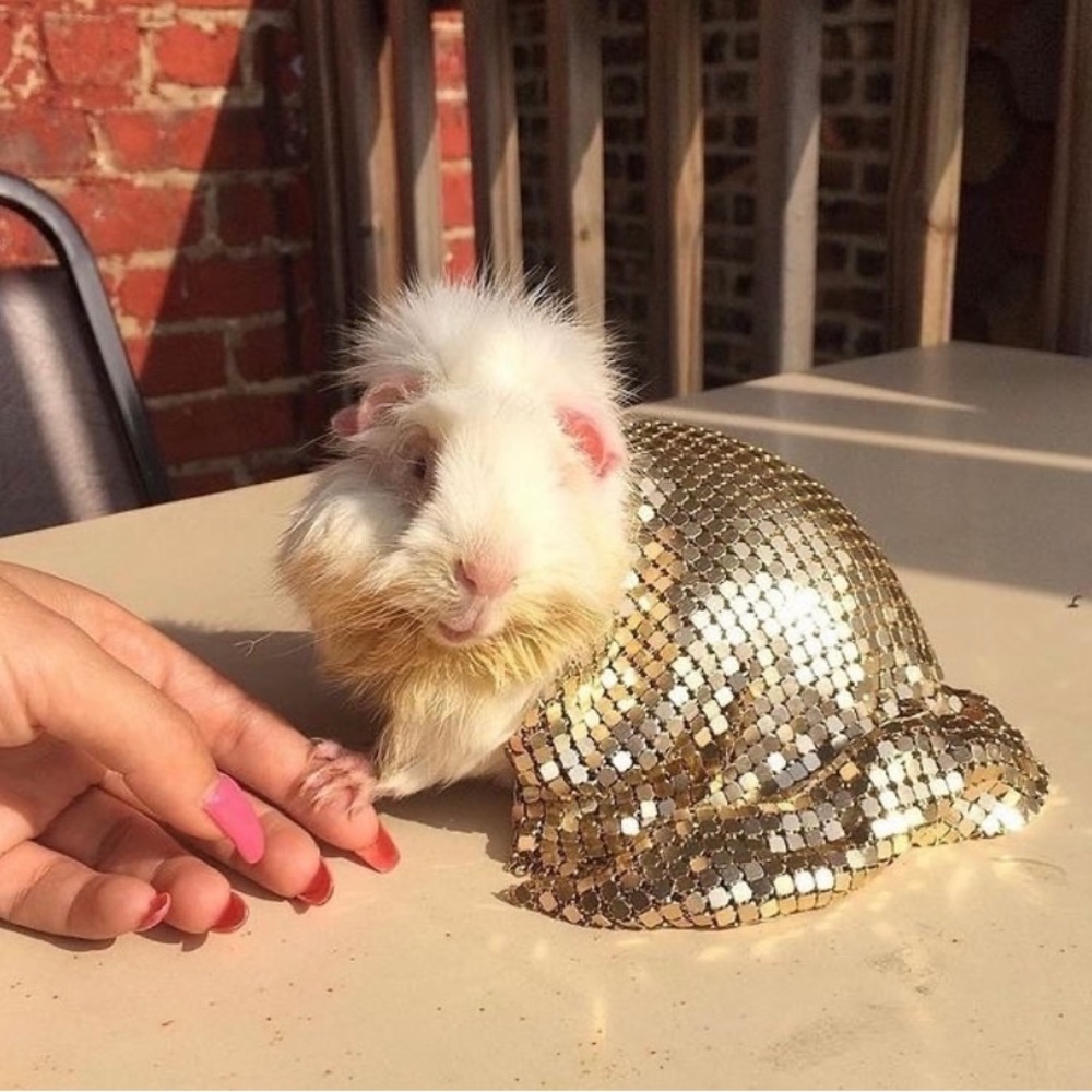 helllllo :) meet me 🥀 - Picture 7 of 15